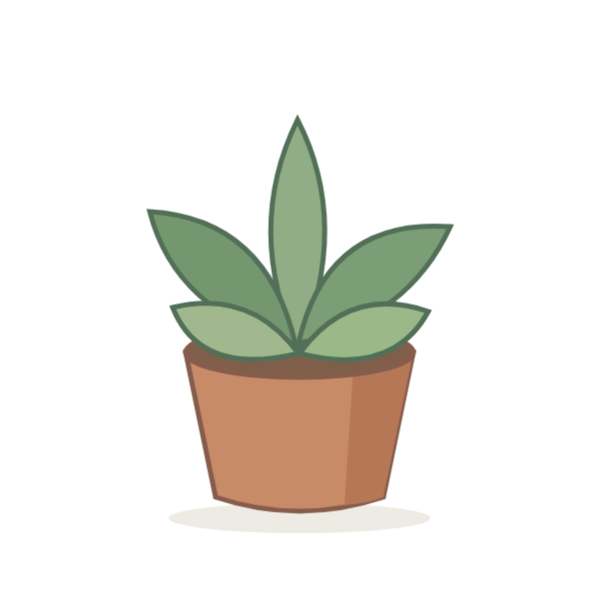 Original illustration of a five-leaf green succulent in a small tapered terracotta pot